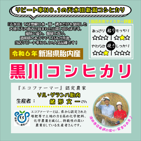 【米】令和6年産　新潟県 黒川コシヒカリ　玄米5.0kg(精米サービス)